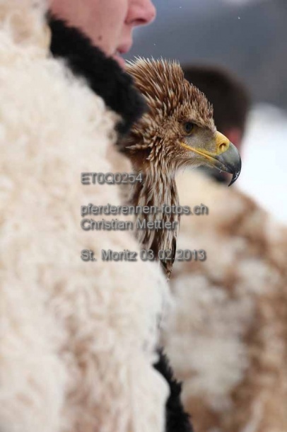 ET0Q0254 prot
